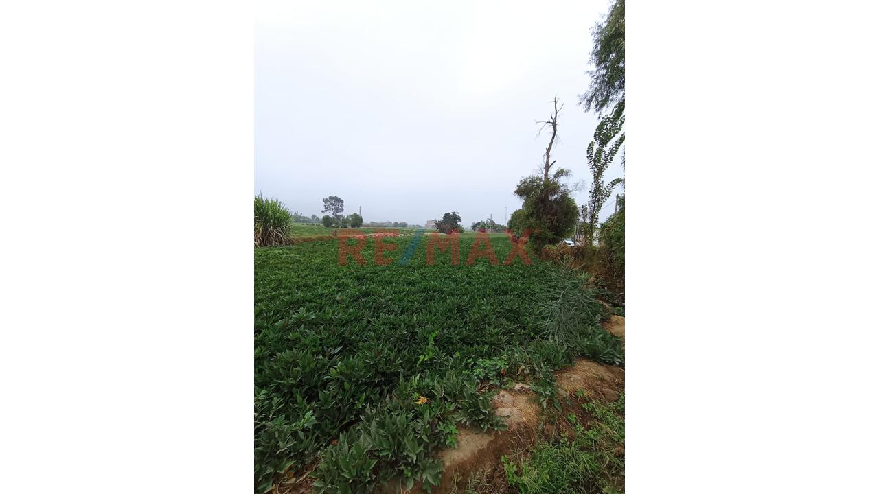 🚨🎯Se Vende Terreno Rural Con Proyecciòn Urbana🚨🎯 - 8
