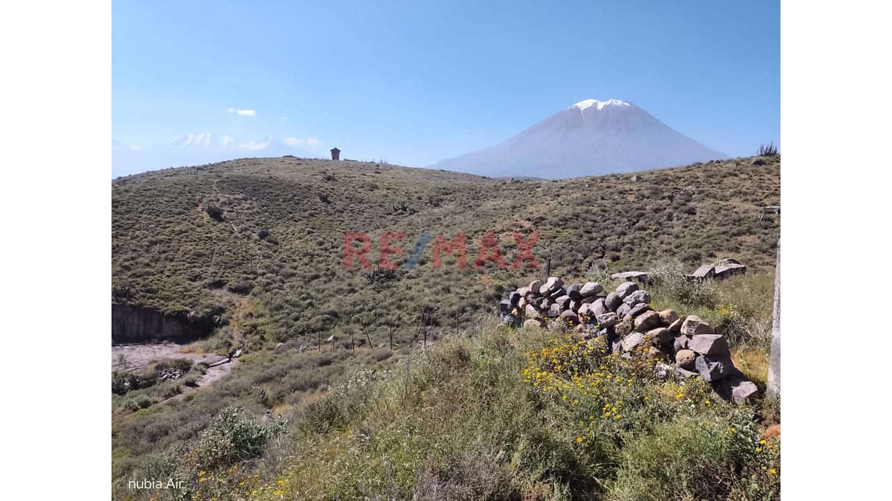 🌱🚨 ¡Invierte Hoy Donde Mañana Todos Querrán Comprar! Terreno Agrícola Con Gran Potencial - 3