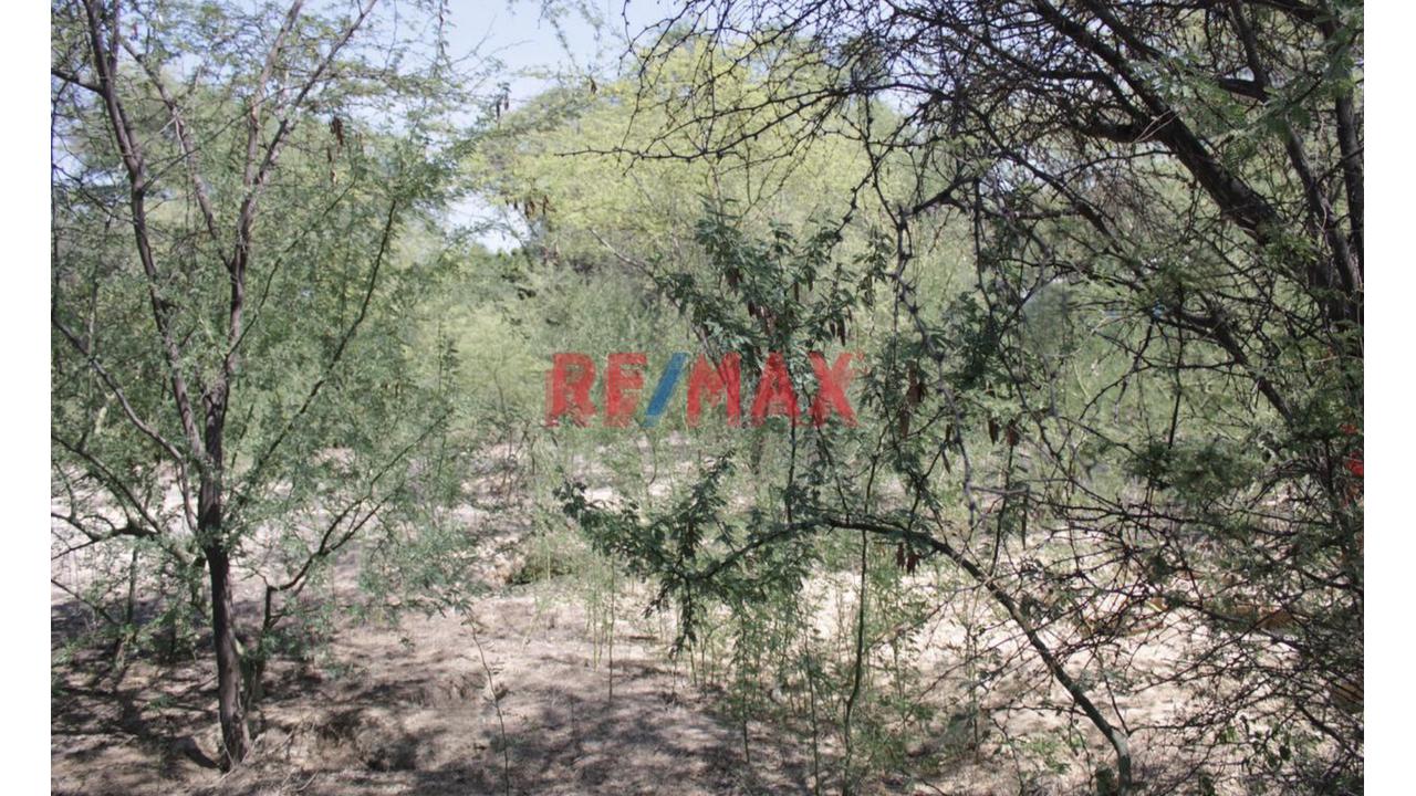 🛑 ¡Terreno Agrícola De 3.97 Ha En Venta En Predio Cieneguillo Sur, Piura! - 3