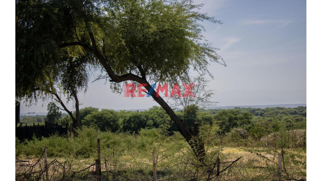 🛑 ¡Terreno Agrícola De 3.97 Ha En Venta En Predio Cieneguillo Sur, Piura! - 9