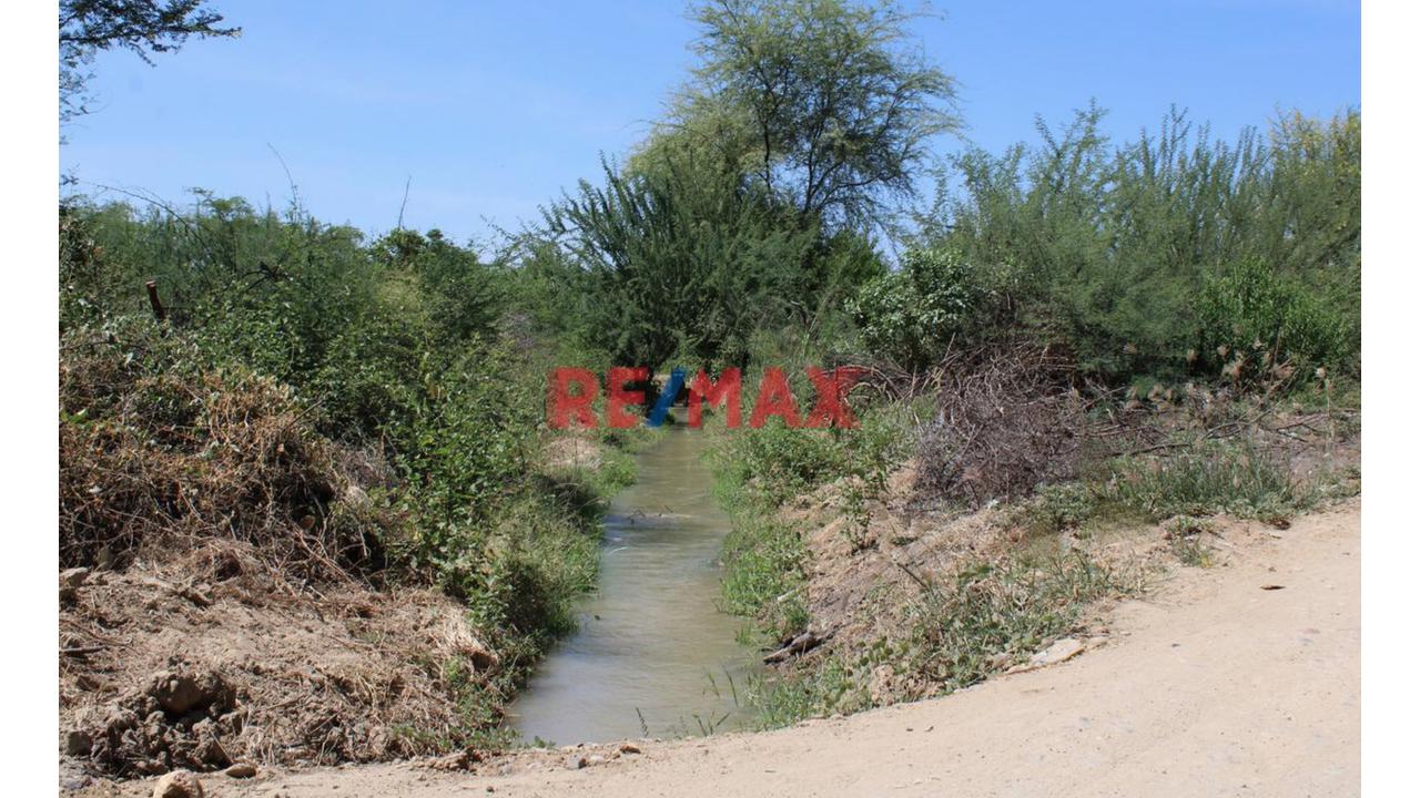 🛑 ¡Terreno Agrícola De 3.97 Ha En Venta En Predio Cieneguillo Sur, Piura! - 6