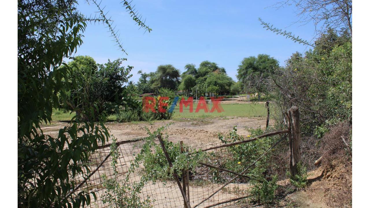 🛑 ¡Terreno Agrícola De 3.97 Ha En Venta En Predio Cieneguillo Sur, Piura! - 5