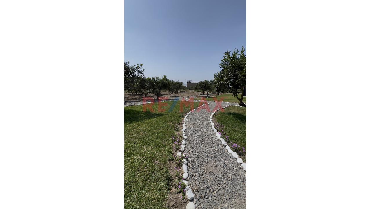 Lotes Para Casa De Campo En Condominio Los Naranjos De Huando- Huaral - Con Titulo De Propiedad - 4