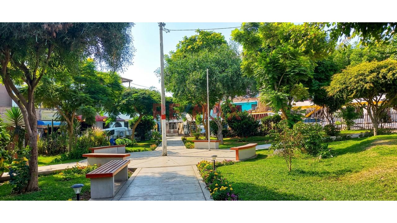 Se Alquila Local Amplio En San Juan De Miraflores *600 M2 *Todo El Edificio *3 Pisos Más Azotea *Ubicación Estratégica ´Sunarp *Municipalidad *Colegios - 5