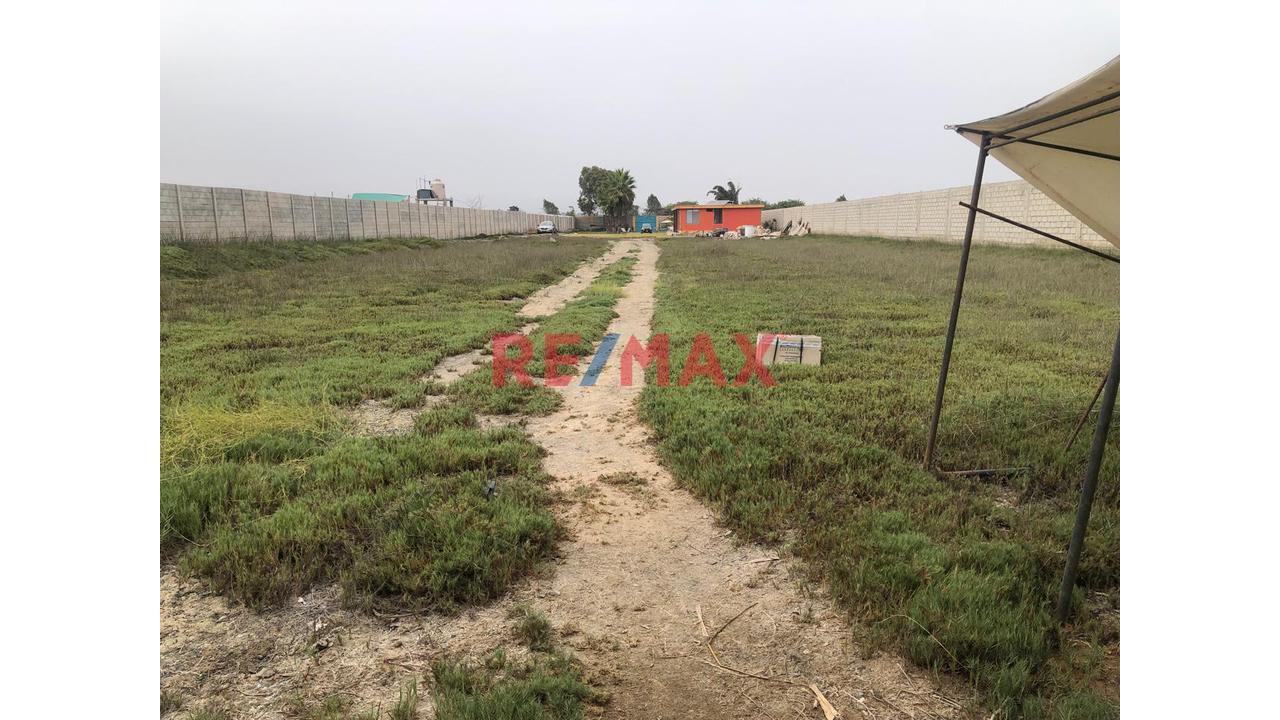 Se Vende Lotes De 612 Mt2, 750 Mt2, 2300 Mt2, 2500 Mt2 En Condominio  En Mala - Cañete - 1