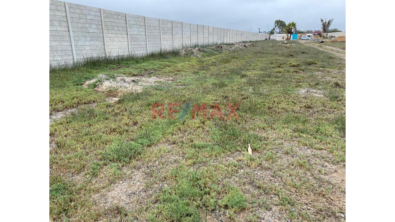 Se Vende Lotes De 612 Mt2, 750 Mt2, 2300 Mt2, 2500 Mt2 En Condominio  En Mala - Cañete - 3