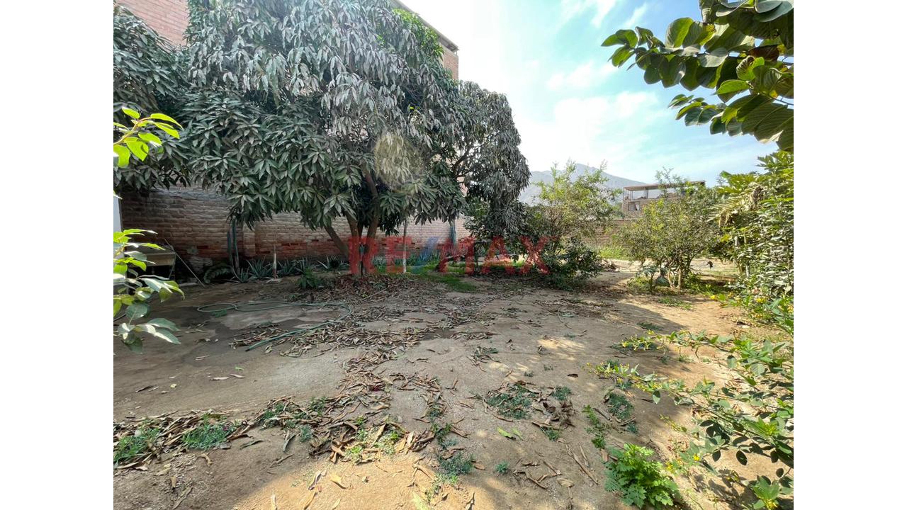 Vendo Terreno 588 M2 Jose Galvez - Villa María Del Triunfo — foto 10
