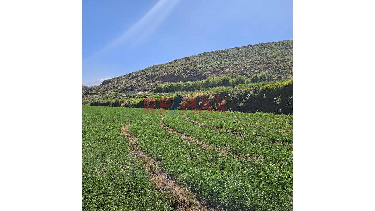 Oportunidad De Inversio Amplio Terreno La Bedoya - 5