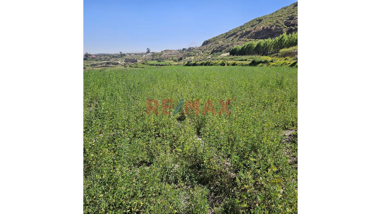 Oportunidad De Inversio Amplio Terreno La Bedoya - 3