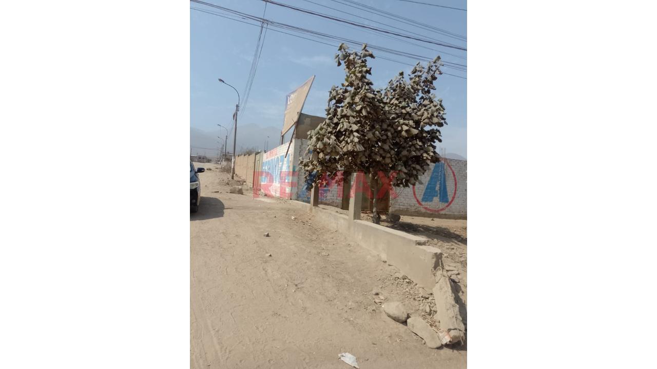 Venta Terreno De 1,018.50 Mt2 En Carabayllo, Frente A La Urb. Los Ficus. - 4
