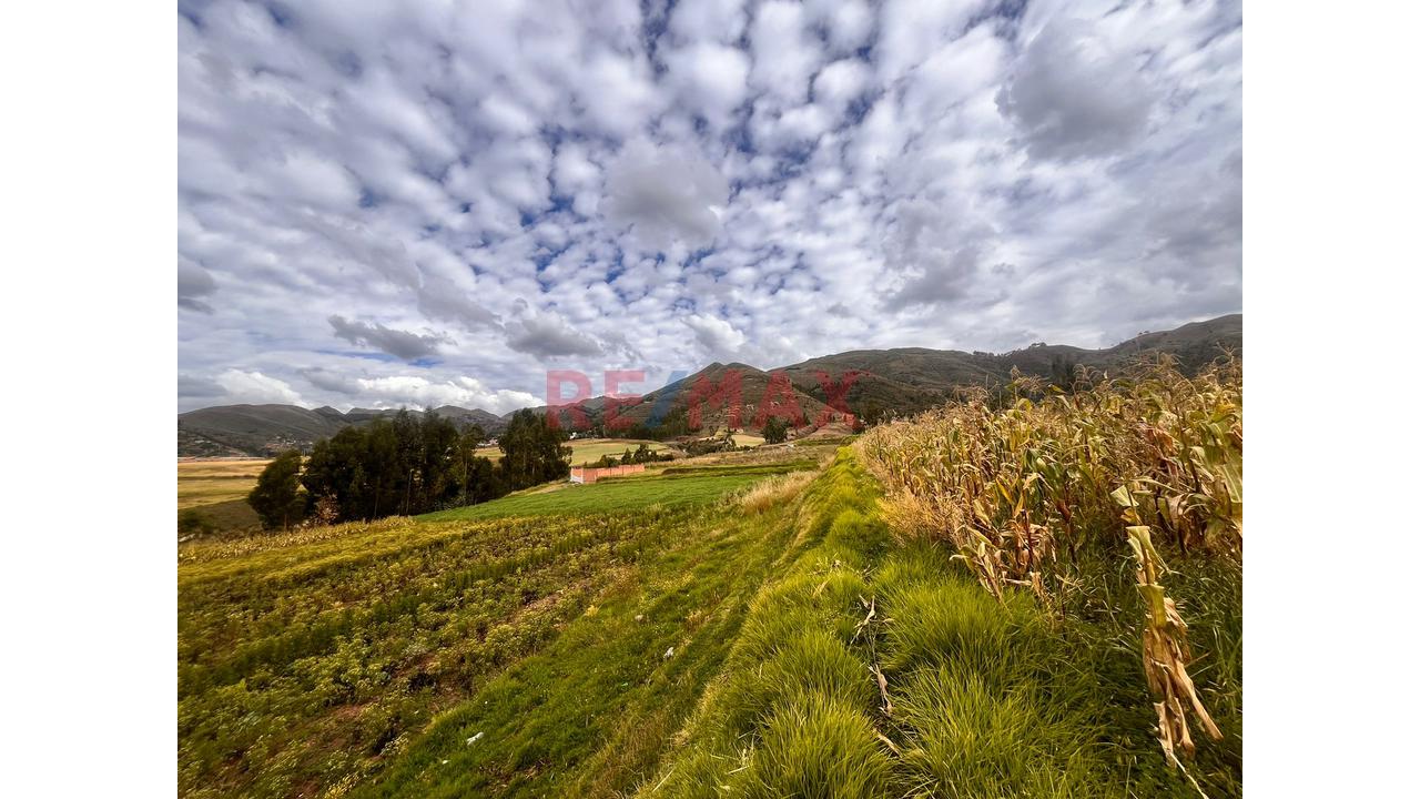 Terreno En Venta En Tancarpata - 5