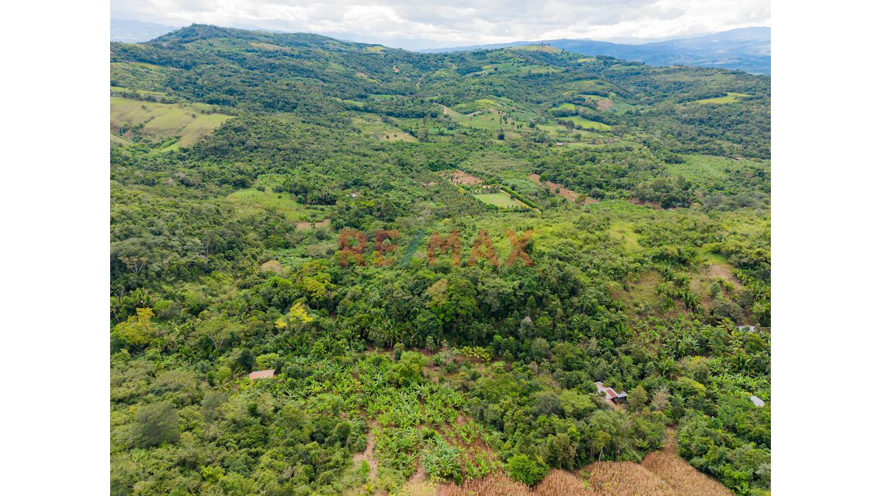 Venta De Terreno En Tarapoto - Distrito Morales - 4