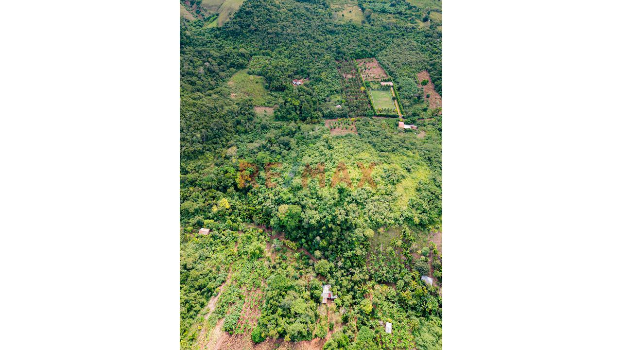 Venta De Terreno En Tarapoto - Distrito Morales - 5