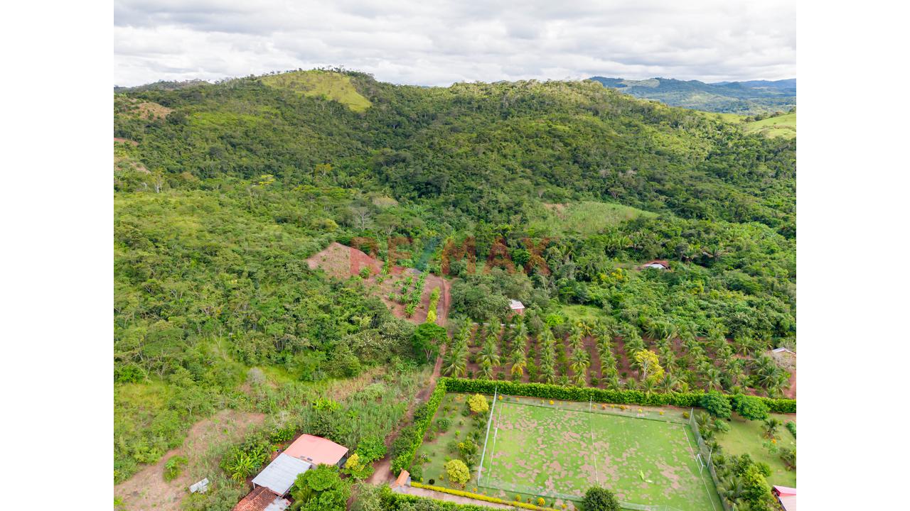Venta De Terreno En Tarapoto - Distrito Morales - 3