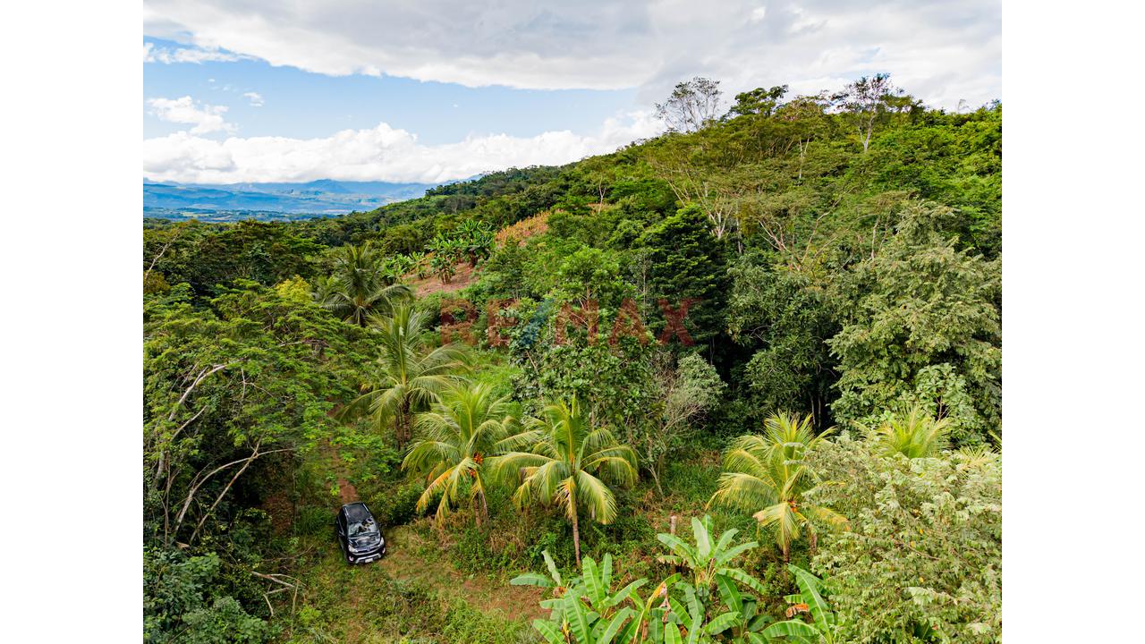 Venta De Terreno En Tarapoto - Distrito Morales - 6