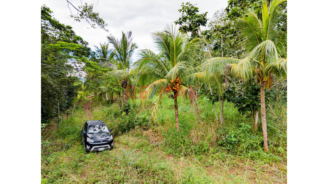 Venta De Terreno En Tarapoto - Distrito Morales - 8