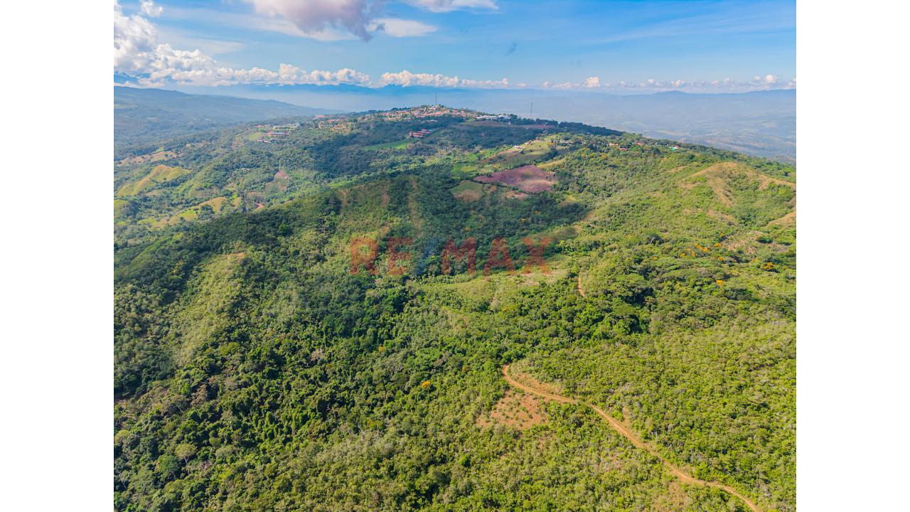 Venta De Terreno En Lamas -  San Martin - 3