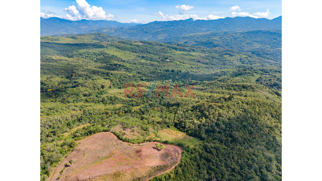 Venta De Terreno En Lamas -  San Martin - 5