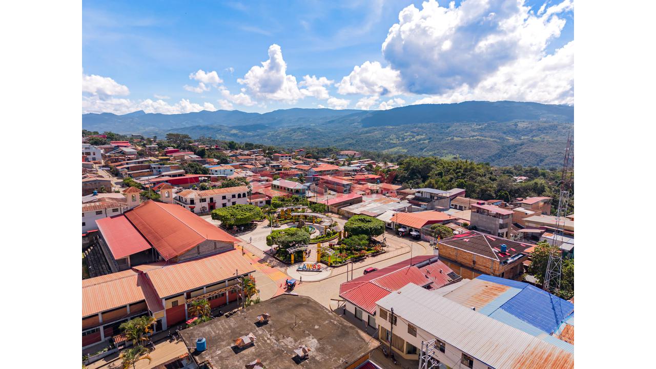Venta De Terreno En Lamas -  San Martin - 2