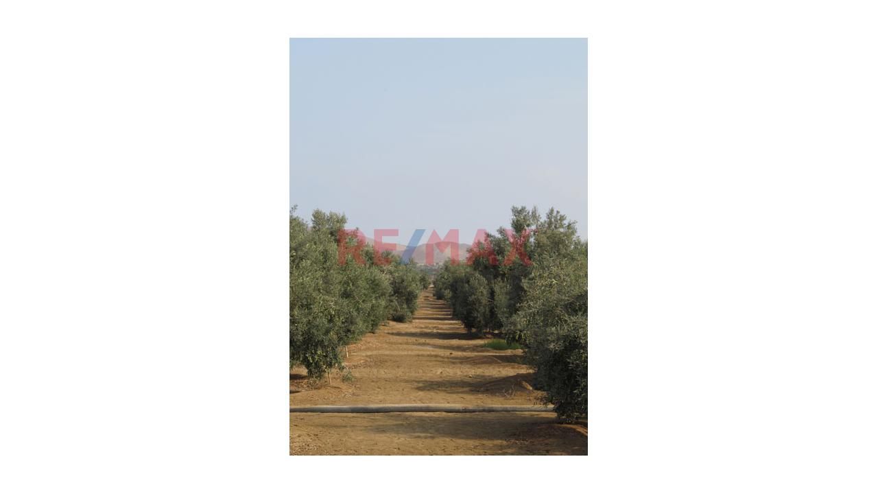 Oportunidad única Terreno ubicado en Pucusana Oportunidad única Terreno ubicado en Pucusana