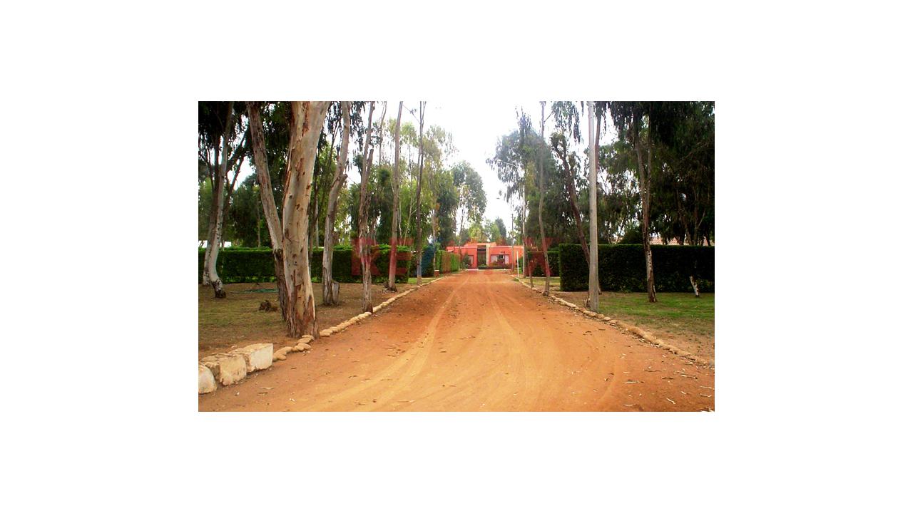 La Mejor Oportunidad De Tener Tu Casa De Campo!!! - 1
