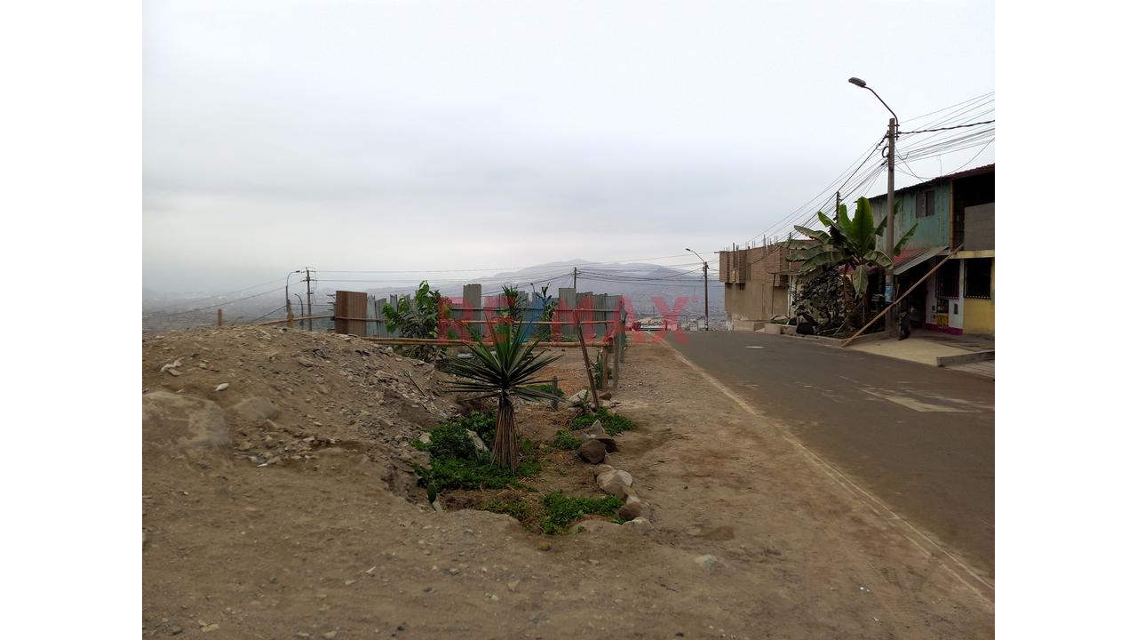 Terreno En Venta - Puente Piedra - 9