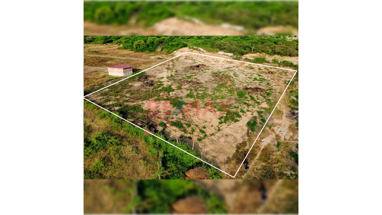 Terreno De 1 Hectárea Con Potencial Urbano - 1
