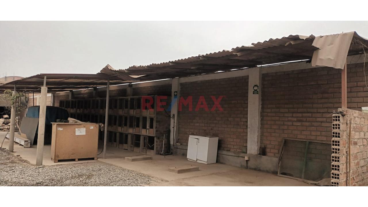 🏭✨ Oportunidad De Inversión Industrial + Vivienda Incluida ✨🏡 - 8