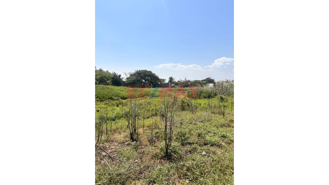 Se Vende Terreno De 1.35 Has En Moche - 3