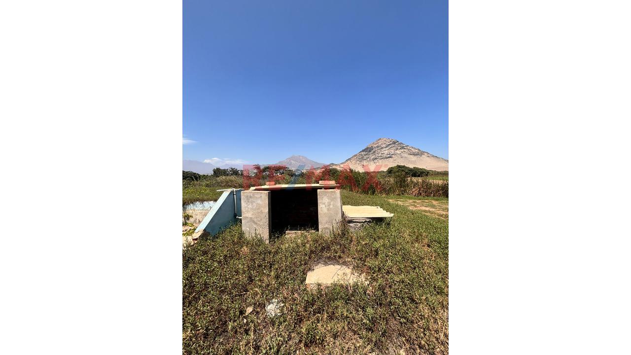 Se Vende Terreno De 1.35 Has En Moche - 4
