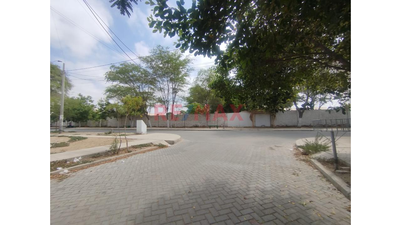 Se Vende Casa Como Terreno En Calle Bolivar Castilla - 4
