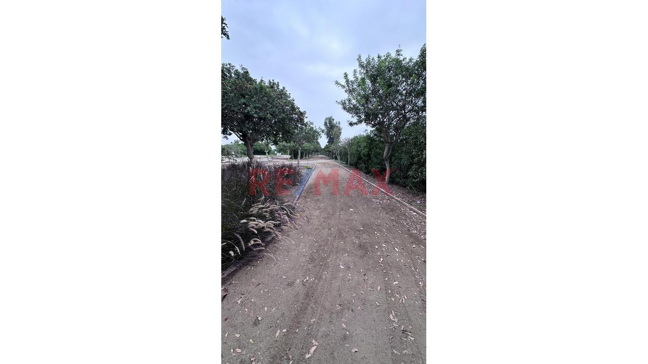 Terreno Independizado En Condominio Alto Pradera ( Frente Al Boulevard De Asia ) - 12