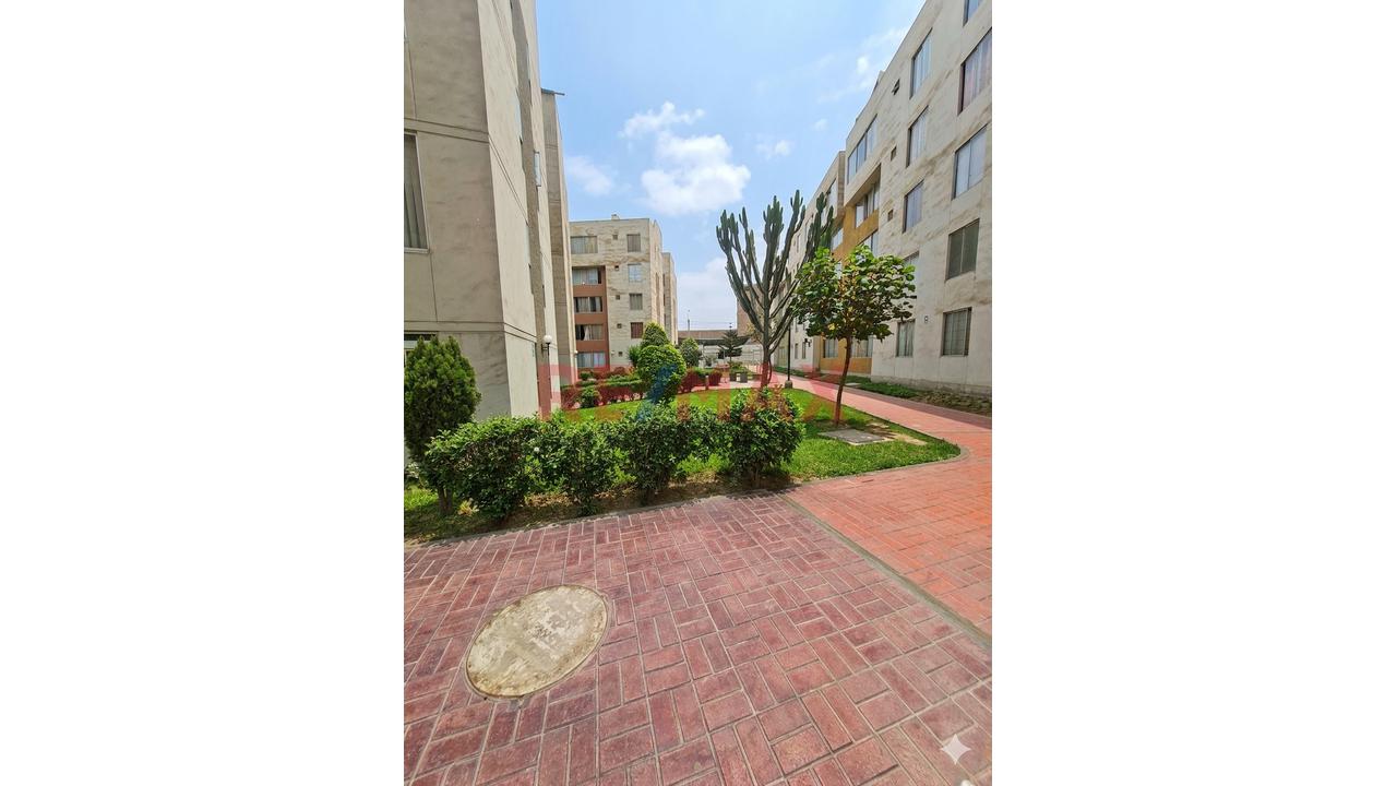 Departamento Duplex En Venta Dentro De Condominio Tambo Verde - Carabayllo — foto 7