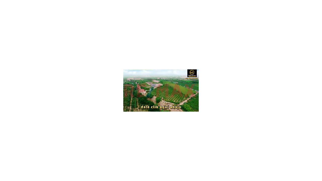 🌳 ¡Gran Oportunidad De Inversión En Huaral! - 3