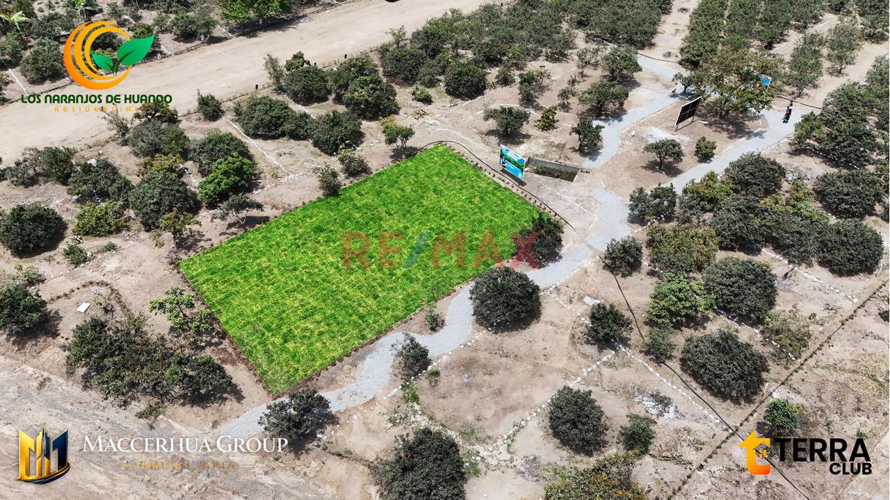 🌳 ¡Gran Oportunidad De Inversión En Huaral! - 6