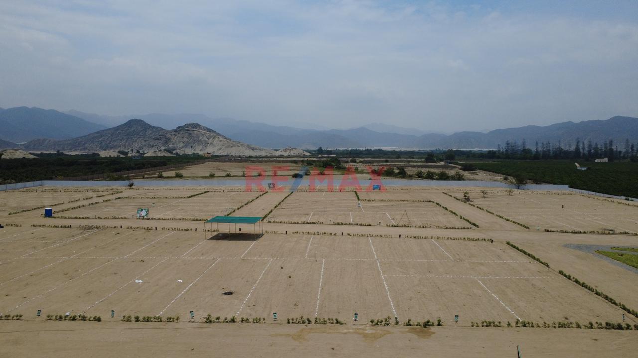 🌳 ¡Gran Oportunidad De Inversión En Huaral! - 4