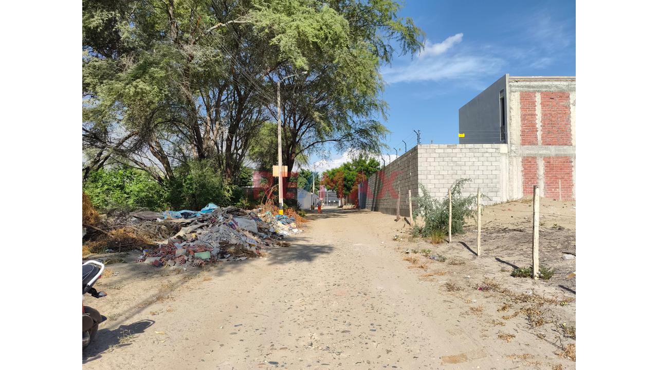 🌿✨ ¡Oportunidad Única En Ejidos Del Norte – Medio Piura (Santa Teresa)! ✨🌿 - 6