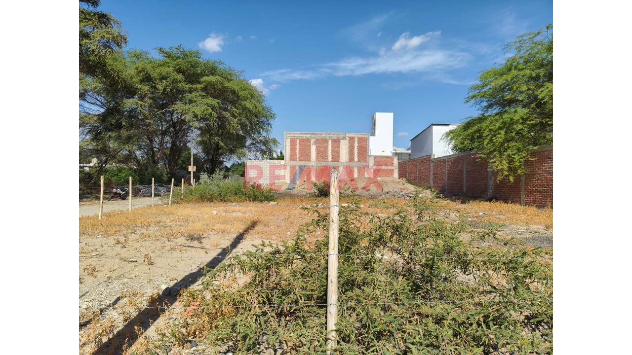 🌿✨ ¡Oportunidad Única En Ejidos Del Norte – Medio Piura (Santa Teresa)! ✨🌿 - 2
