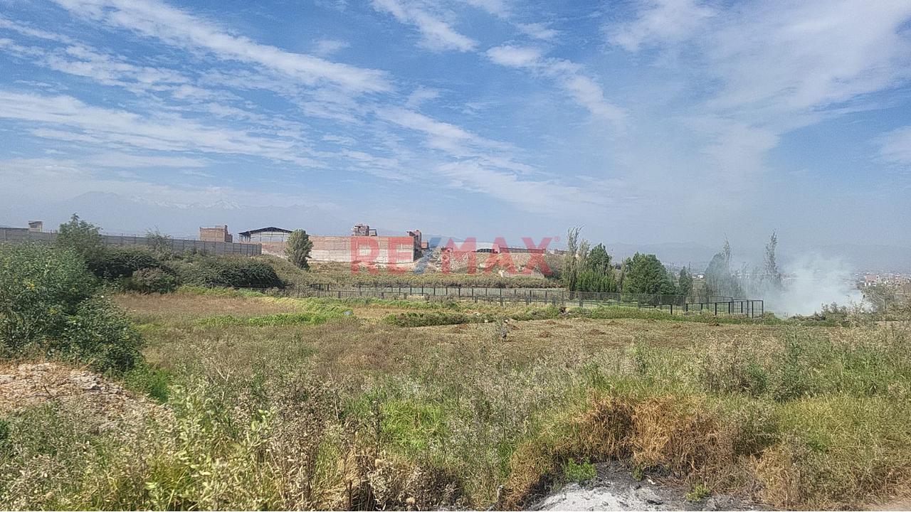 Terreno Rural En Sachaca A Un Lado De La Variante - 3
