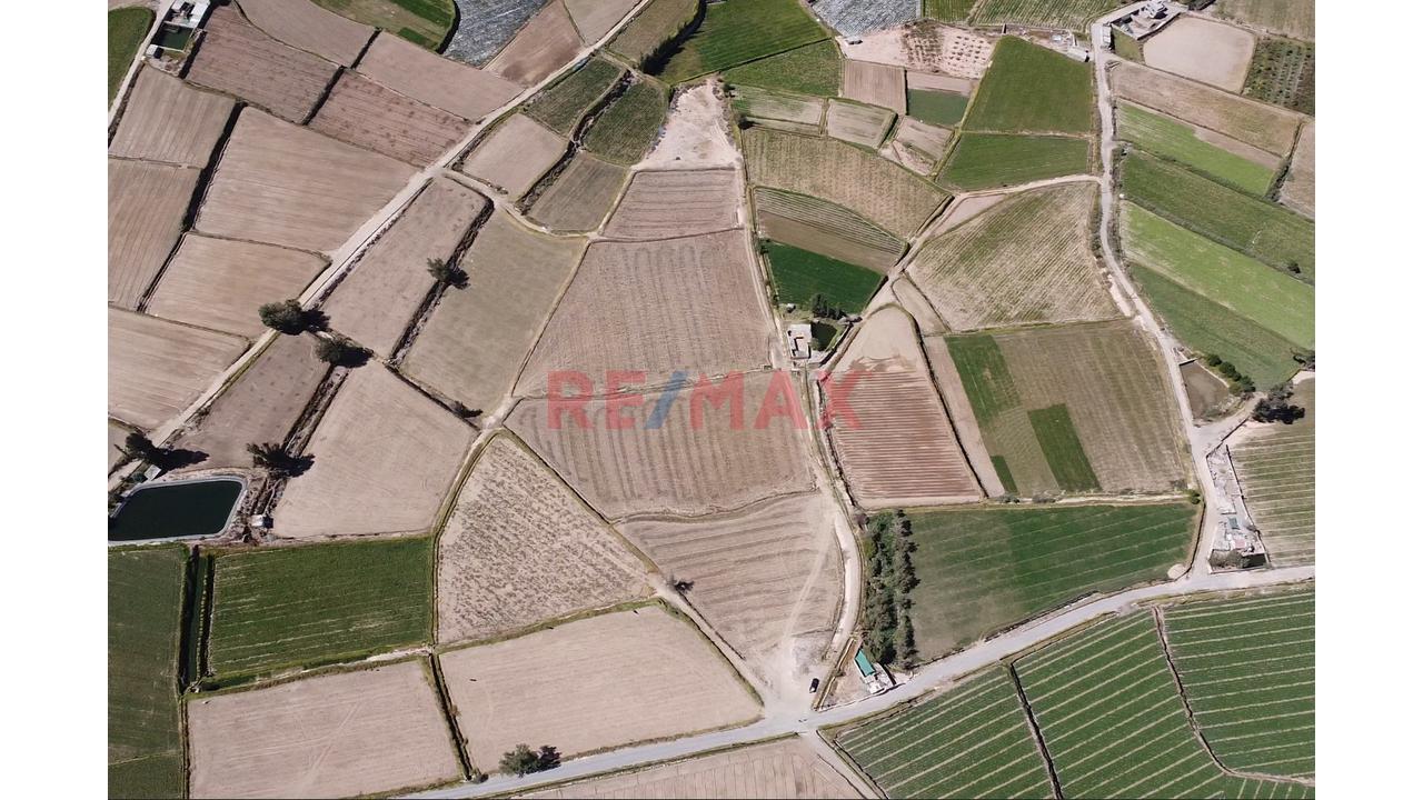 Venta De Terreno Agrigola 2.5 Hectareas Excelente Ubicacion, Cerca A Variante Uchumayo- Tiabaya - 2