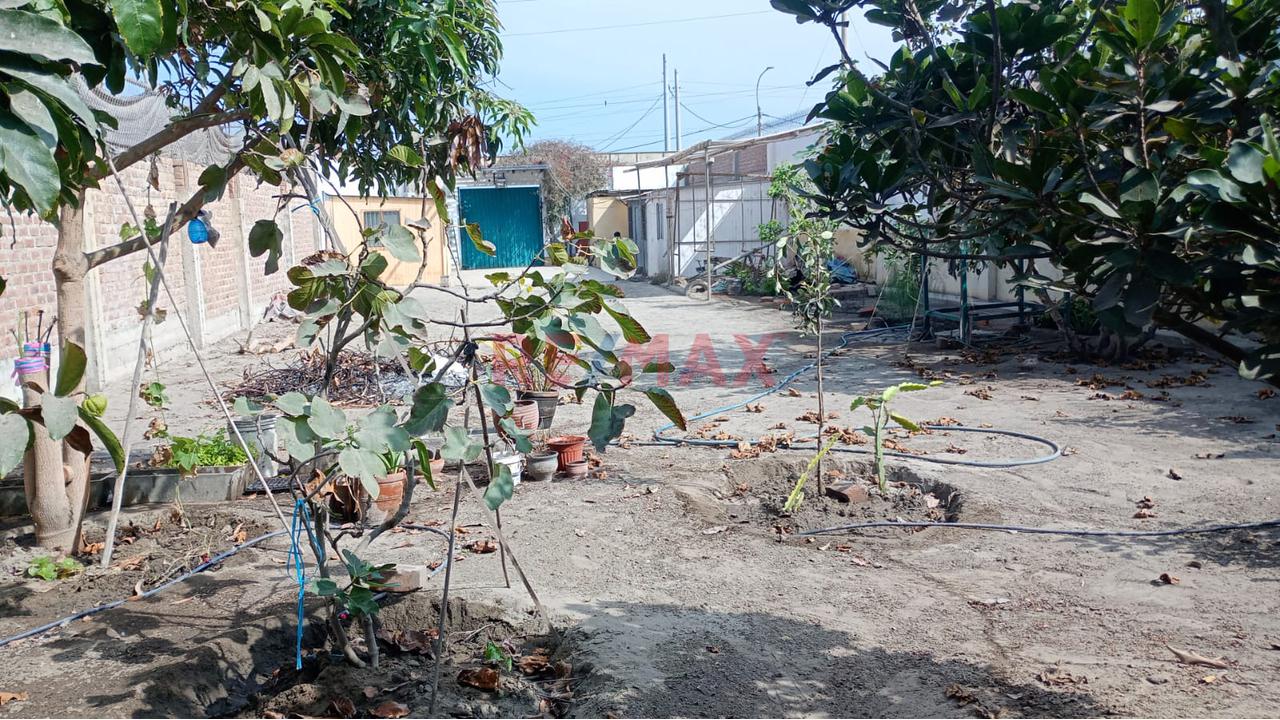 Venta De Terreno En Supe Calle Bolivar — foto 4