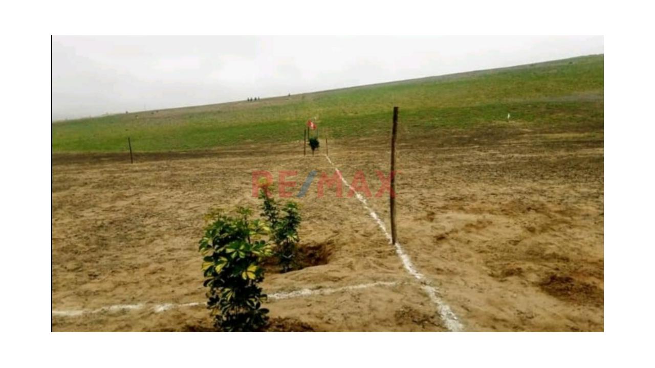 🚨 ¡Terreno En Venta En San Vicente De Cañete! 🌿📍 - 9
