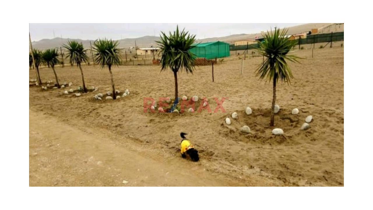 🚨 ¡Terreno En Venta En San Vicente De Cañete! 🌿📍 - 8