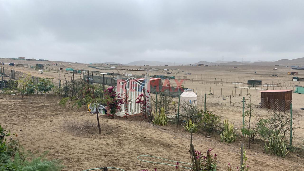 🚨 ¡Terreno En Venta En San Vicente De Cañete! 🌿📍 - 2