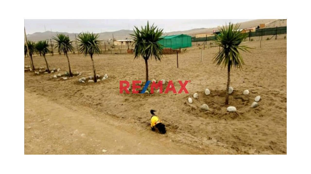 🚨 ¡Terreno En Venta En San Vicente De Cañete! 🌿📍 - 1
