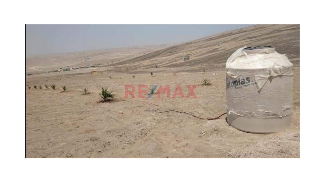 🚨 ¡Terreno En Venta En San Vicente De Cañete! 🌿📍 - 7