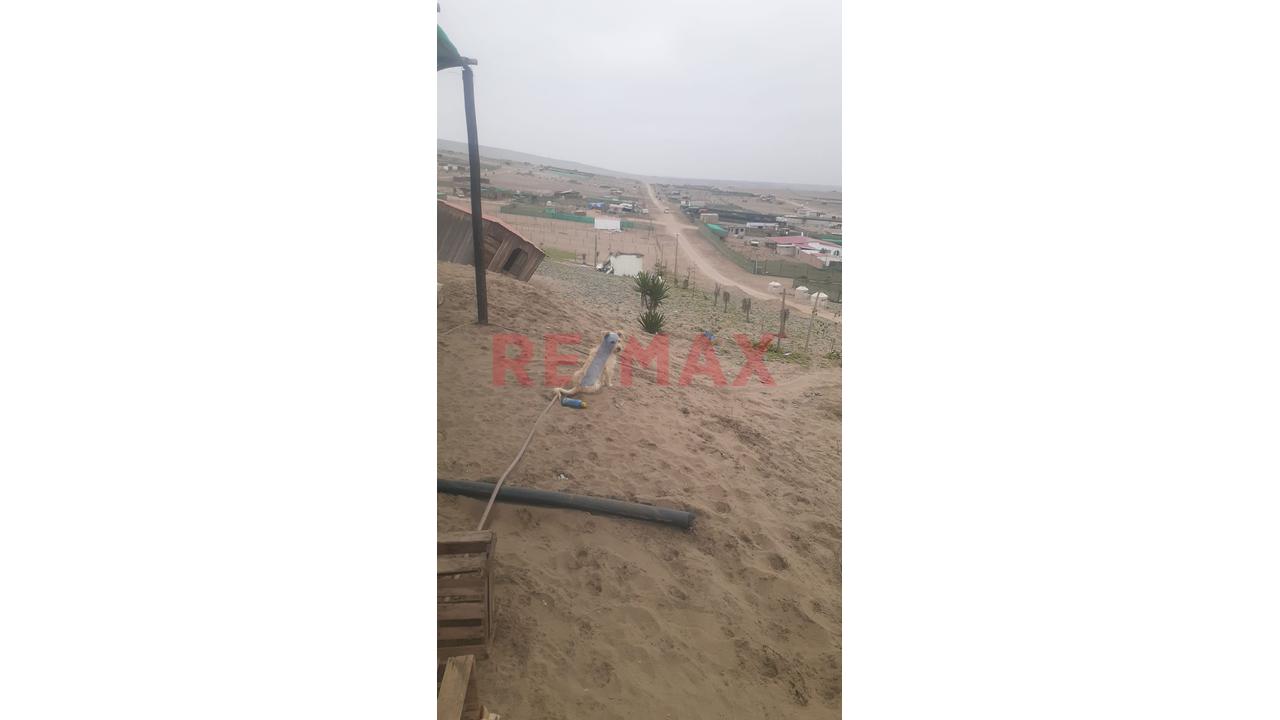 🚨 ¡Terreno En Venta En San Vicente De Cañete! 🌿📍 - 6