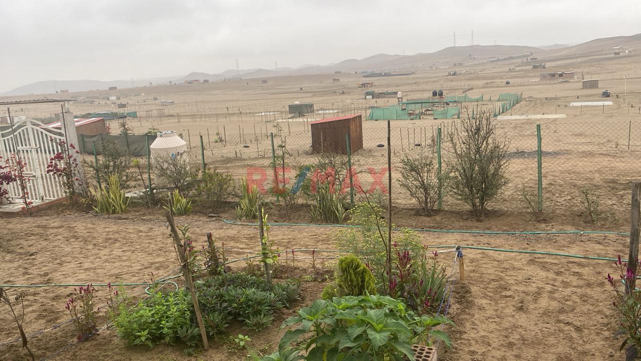 🚨 ¡Terreno En Venta En San Vicente De Cañete! 🌿📍 - 4