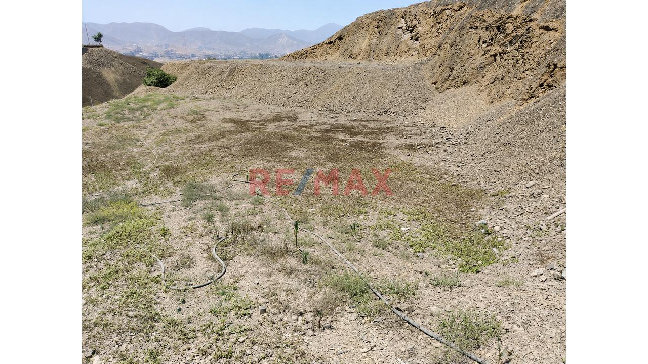 Terreno En Terrazas (500M2) Condominio Exclusivo "Terrazas De Amancaes" Para Casa De Campo/Vivienda - 3