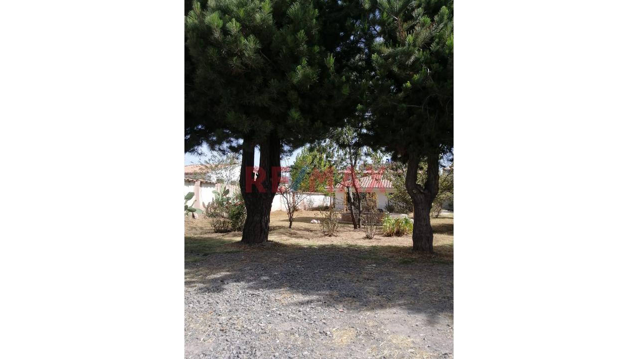 Terreno Urbano De 2000 M2 San Jeronimo - 3